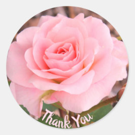 Roze Rose Bloom Ronde Sticker