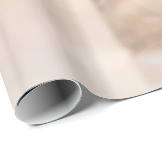 Roze Rose Blue Hydrangea Vase Bouquet Rozen Bloem Cadeaupapier (Rol Hoek)