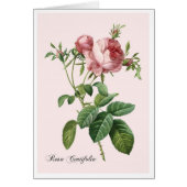 Roze Rose Botanical Art Note Kaart (Voorkant)