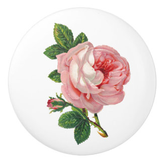 Roze Rose Botanisch Keramische Knop