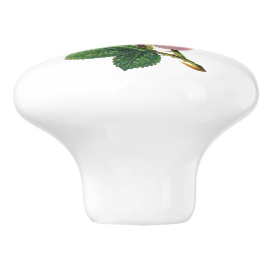 Roze Rose Botanisch Keramische Knop (Zijkant)