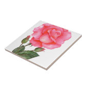 Roze Rose Botanische illustratie Tegeltje (Zijkant)