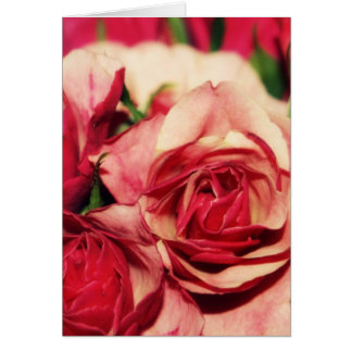 Roze Rose Bouquet Fine Art-foto