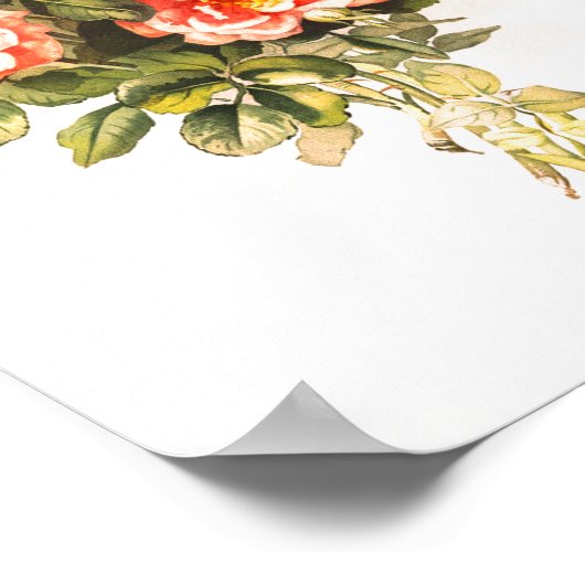 Roze Rose Bouquet  Floral Poster (Hoek)