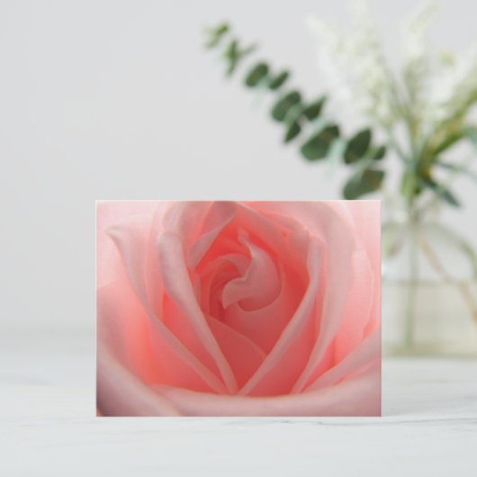 Roze Rose Briefkaart (Staand voorkant)