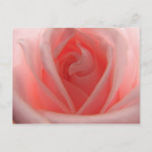 Roze Rose Briefkaart (Voorkant)
