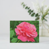 Roze Rose Briefkaart (Staand voorkant)