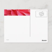 Roze Rose Briefkaart (Achterkant)