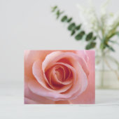 Roze Rose Briefkaart (Staand voorkant)