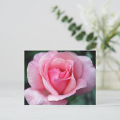 Roze Rose Briefkaart (Staand voorkant)