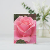 Roze Rose Briefkaart (Staand voorkant)