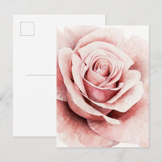 Roze Rose Briefkaart (Voorkant / Achterkant)