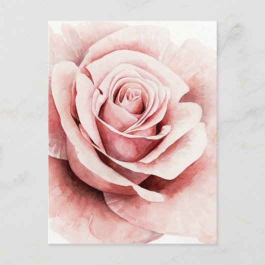 Roze Rose Briefkaart (Voorkant)