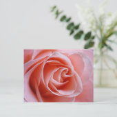 Roze Rose Briefkaart (Staand voorkant)