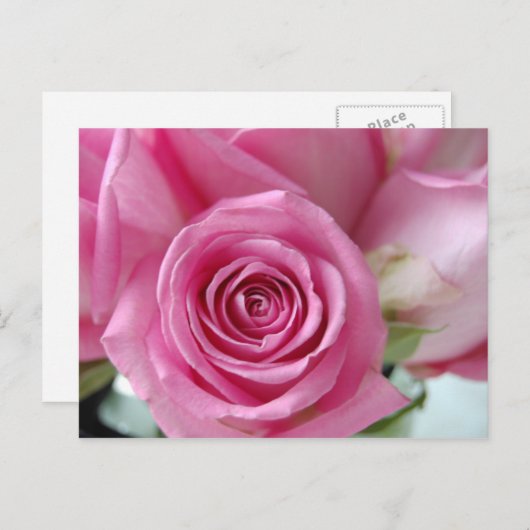 Roze Rose Briefkaart (Voorkant / Achterkant)