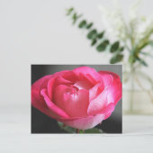 Roze Rose Briefkaart (Staand voorkant)
