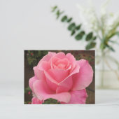Roze Rose Briefkaart (Staand voorkant)