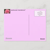 Roze Rose Briefkaart (Achterkant)