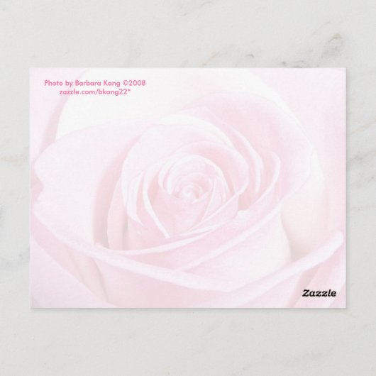 Roze Rose Briefkaart (Achterkant)