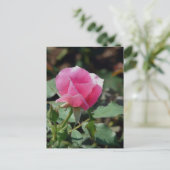 Roze Rose Briefkaart (Staand voorkant)