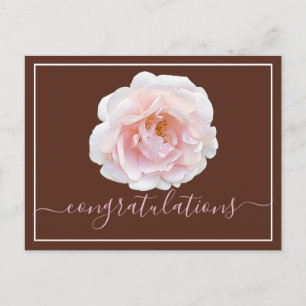Roze Rose Brown Achtergrond gefeliciteerd Briefkaart