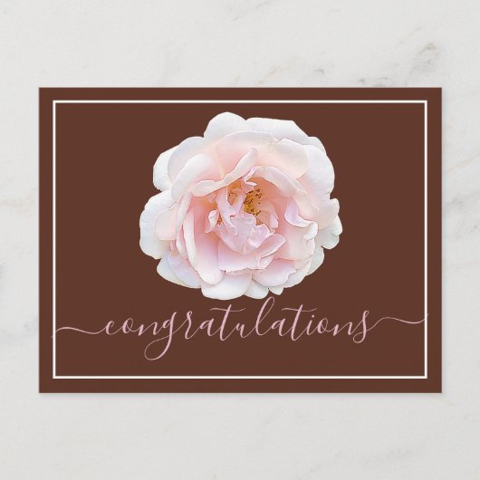 Roze Rose Brown Achtergrond gefeliciteerd Briefkaart (Voorkant)