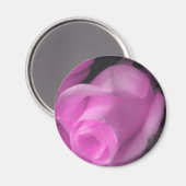 Roze Rose Bud 2 1/4 inch magneet (Voorkant / Achterkant)