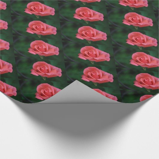 Roze Rose Bud Cadeaupapier (Hoek)
