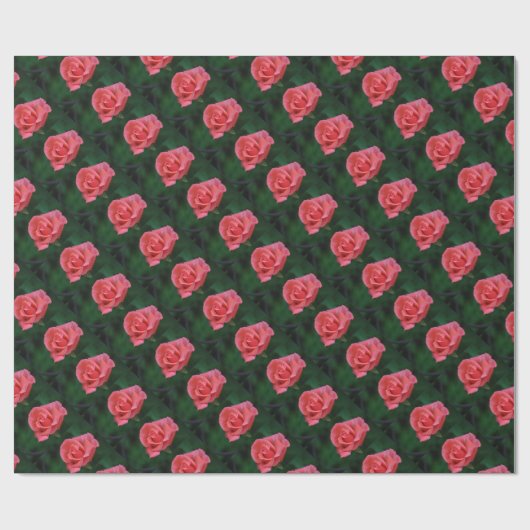 Roze Rose Bud Cadeaupapier (Vlak)