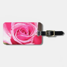 Roze Rose Bud Flower Floral foto