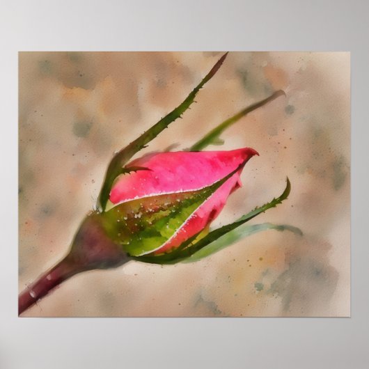 Roze Rose Bud Garden Waterverf stijl kunst Poster (Voorkant)