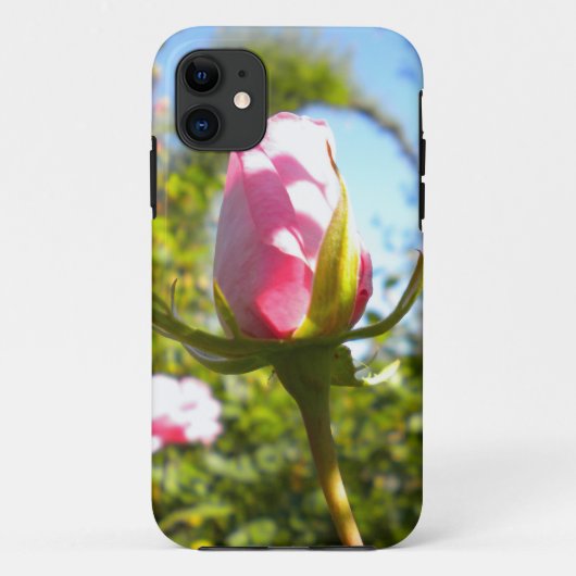 Roze Rose Bud iPhone 5 Hoesje (Achterkant)