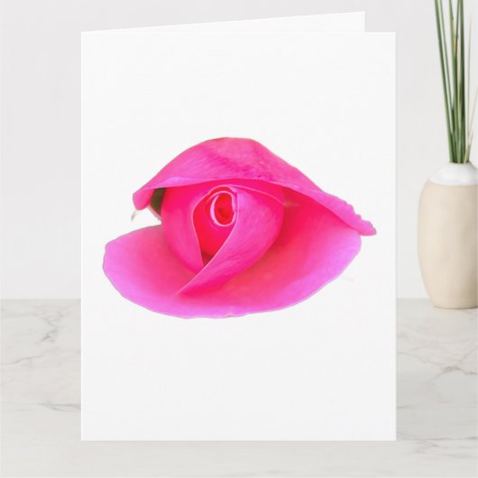 Roze Rose Bud Kaart (Voorkant)