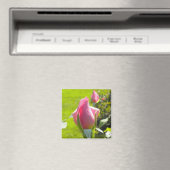 Roze Rose Bud Magnet (Insitu (Vaatwasser))