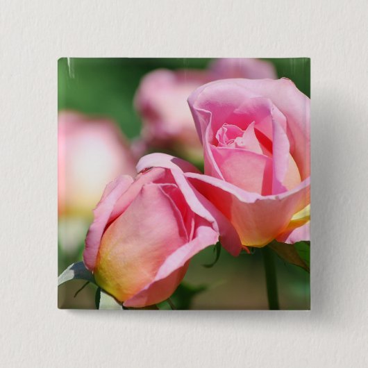 Roze Rose Bud Pin Vierkante Button 5,1 Cm (Voorkant)
