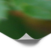 Roze Rose Bud Poster (Hoek)