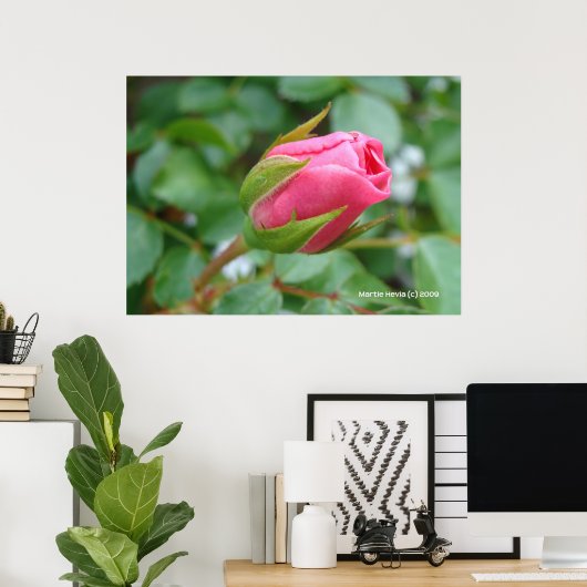 Roze Rose Bud Poster (Thuiskantoor)