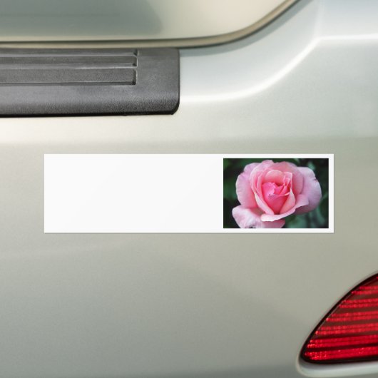 Roze Rose Bumpersticker (Op auto)