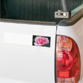 Roze Rose Bumpersticker (Op Truck)