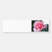 Roze Rose Bumpersticker (Voorkant)