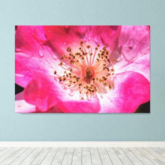 Roze Rose Canvas Afdruk (Insitu (Houten vloer))