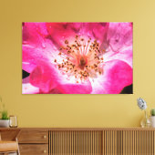 Roze Rose Canvas Afdruk (Insitu (Woonkamer))
