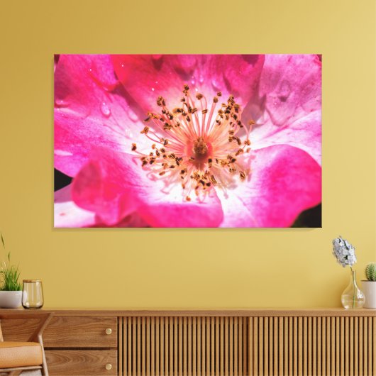 Roze Rose Canvas Afdruk (Insitu (Woonkamer))
