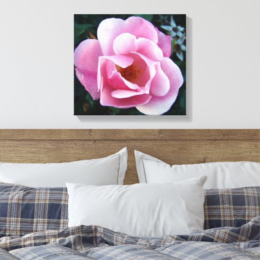Roze Rose Canvas Afdruk (Insitu (Slaapkamer))