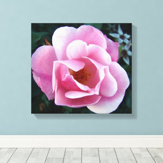 Roze Rose Canvas Afdruk (Insitu (Houten vloer))