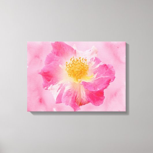 Roze Rose Canvas Afdruk (Voorkant)