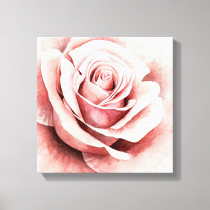 Roze Rose Canvas Afdruk
