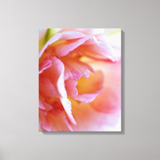 Roze Rose Canvas Afdruk (Voorkant)