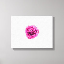 Roze Rose Canvas Afdruk