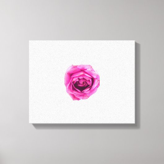 Roze Rose Canvas Afdruk (Voorkant)